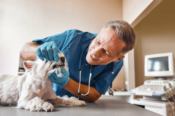 Best Emergency Tooth Extraction  in Harvey, ND